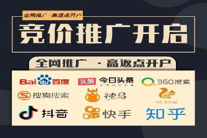 SEM运营公司成功案例解析